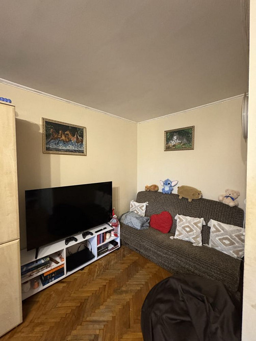 1-кімнатна квартира в цегляному будинку Іvano-Frankivsk - photo 3