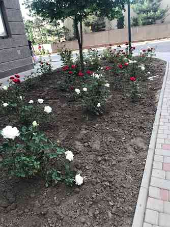 Срочно продам 1 ком. квартиру в ЖК Одесские традиции. Odesa