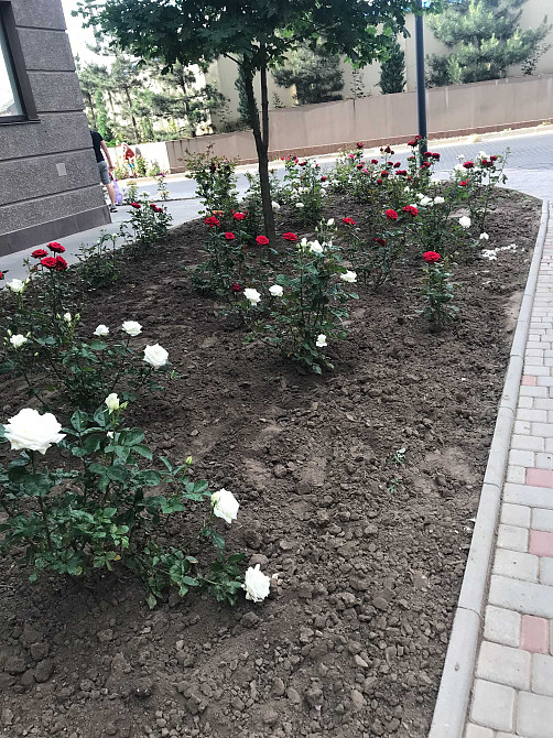 Срочно продам 1 ком. квартиру в ЖК Одесские традиции. Odesa - photo 6