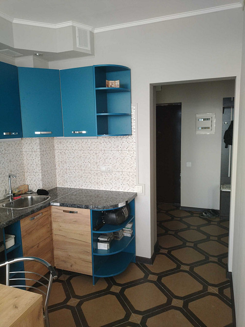 1-КІМНАТНА КВАРТИРА ВІД ВЛАСНИКА. Автономне живлення і опалення! Kyiv - photo 4