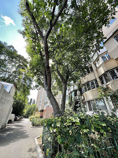 Квартира с потенциалом: для жизни или бизнеса на Люстдорфской дороге Odesa - photo 8