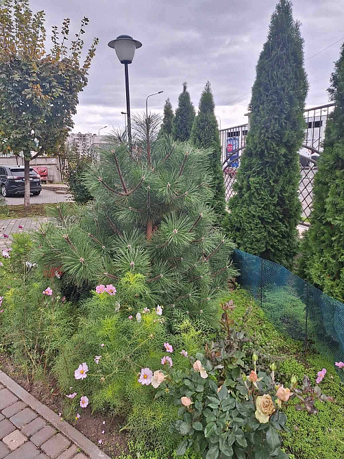 Одно комн. 52мт ЖК Острова (свеча) Odesa - photo 6