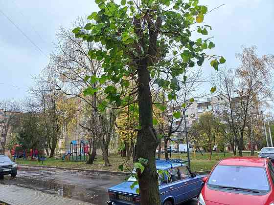 Продам 1-кім.квартиру, м.Тернопіль, Східний, вул. Протасевича Тернопіль