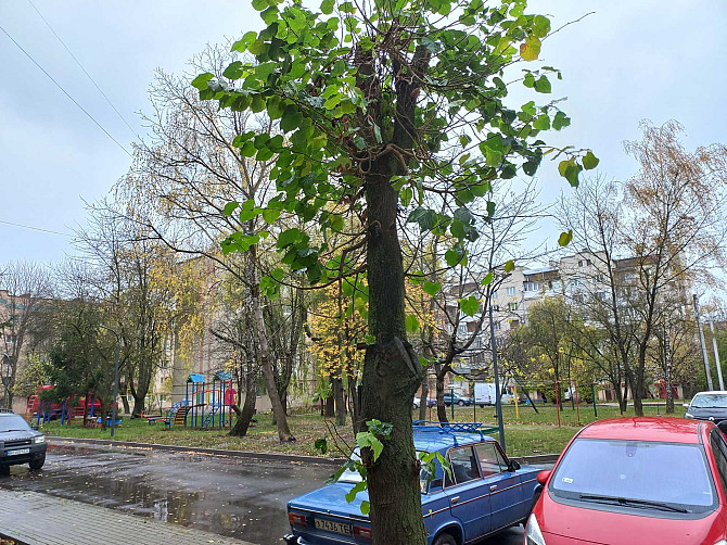 Продам 1-кім.квартиру, м.Тернопіль, Східний, вул. Протасевича Тернопіль - зображення 4