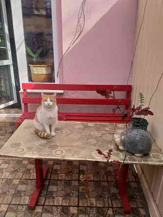 Продам свою 3х-комнатную квартиру Odesa