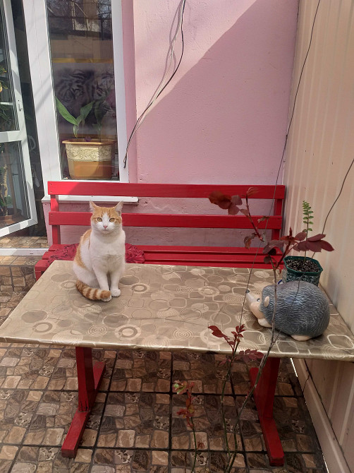 Продам свою 3х-комнатную квартиру Odesa - photo 1