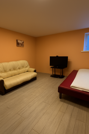 Продаж: Високий сухий цоколь: переведений в житловий Студія з ремонтом Ірпінь