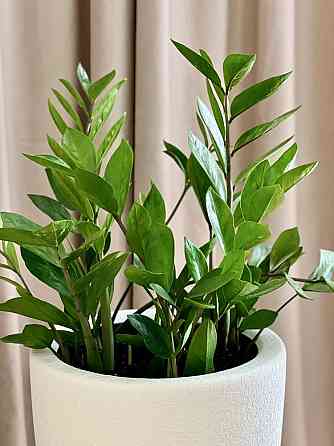 ‼️Без комісії‼️На 1-2 місяці новобудова ЖК Велика Британія Lviv