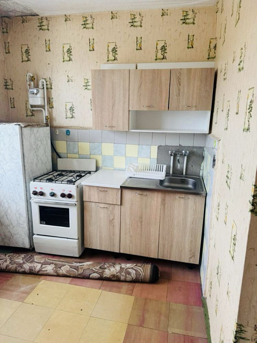 Аренда 1 ком квартиры, Победа 5 , светлая , уютная Dnipro - photo 7