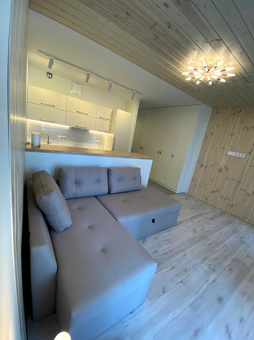 Оренда 1-кімнатної квартири в ЖК «Зарічний» Kyiv - photo 6