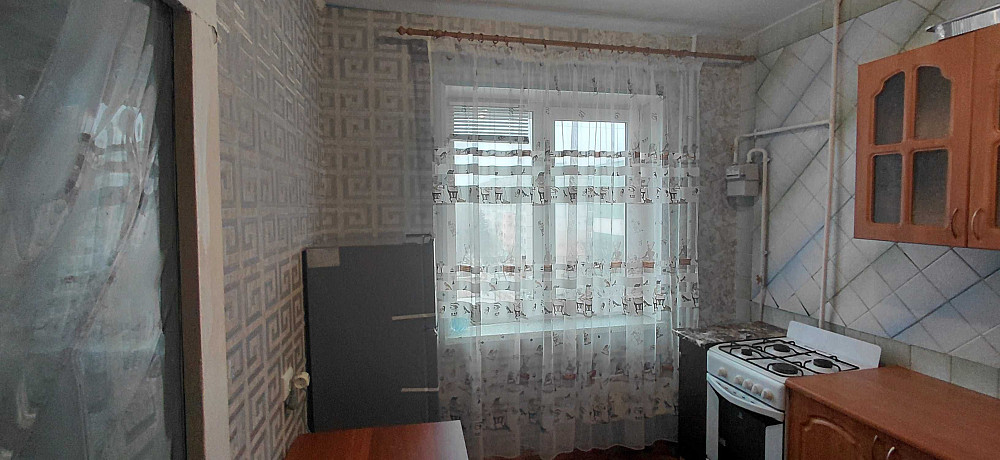 Здається 1к квартира можна з домашнім улюбленцем Полтава - изображение 8