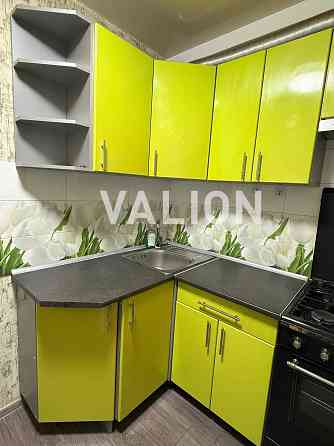 Оренда 1 кімн. квартири з ремонтом, біля парку і посольства США Kyiv