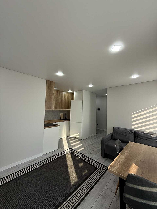 Оренда стильної 1-кімнатної квартири з кухнею-студією в ЖК Юніон_AI Ивано-Франковск - изображение 3