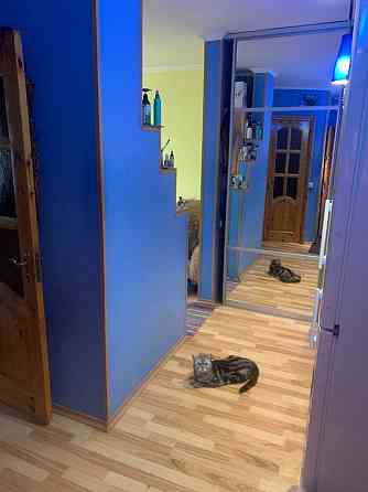 Дам на виплату або здам в оренду  чи обміняю Володимир