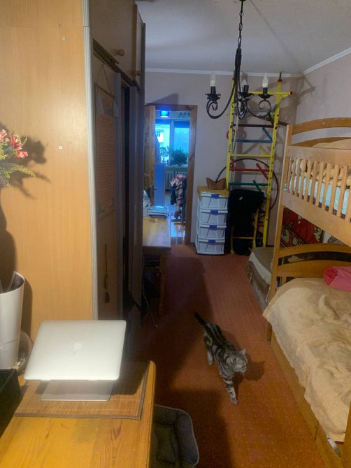 Дам на виплату або здам в оренду  чи обміняю Володимир - зображення 7