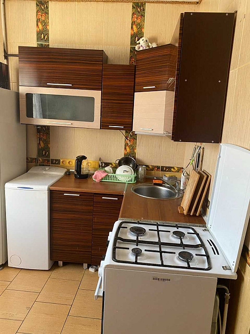 Аренда! С ремонтом и гарна локация!Газ!Середний этаж!можна с тваринами Днепр - изображение 2