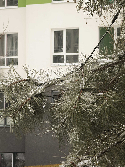 Велика квартира.Район -парк Центральний.Єоселя. Недорого.Київ в 15 хв Ирпень - изображение 7