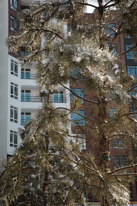 Дворівнева 3-кім квартира у Синергія Сіті – акційна розстрочка! Ирпень - изображение 2