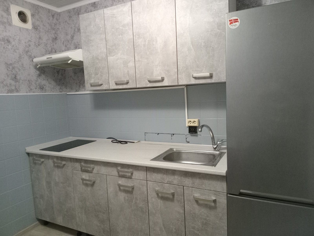 Аренда 1 к. кв-ра Левобережный-3, пер.Вольный Днепр - изображение 2