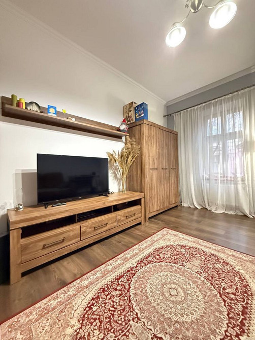 Оренда 1-кімнатної квартири, вул. Меретина (р-н Львівська політехніка) Lviv - photo 5