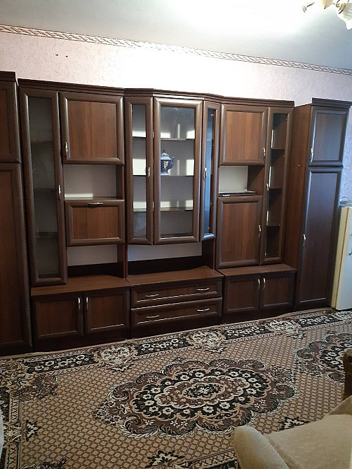 Сдам 1 комн Солнечный,  на длительный срок Кривой Рог - изображение 8