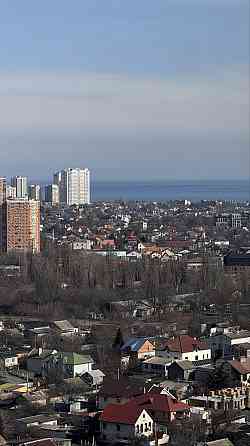 Сдам Аренда Стильная 1комнатная квартира Скай Сити Варненская Инглези Одеса