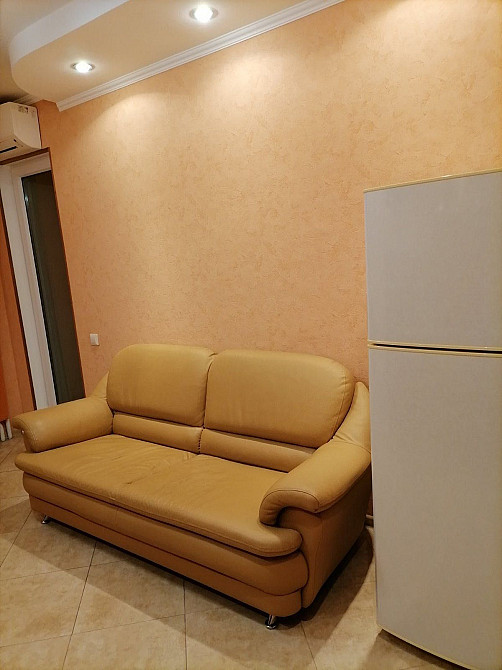 Від власника, Виноградар, Гонгадзе Киев - изображение 2