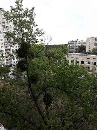 Здається простора 2-кімнатна квартира від власниці на Лісовому масиві Киев