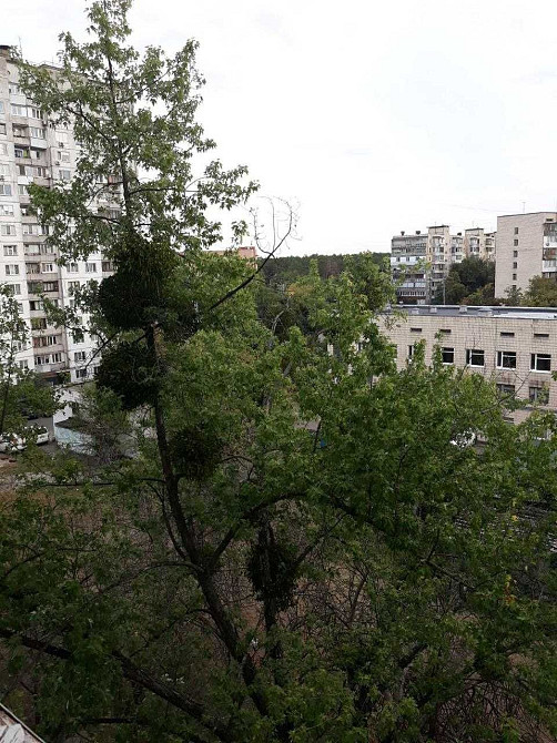 Здається простора 2-кімнатна квартира від власниці на Лісовому масиві Киев - изображение 1