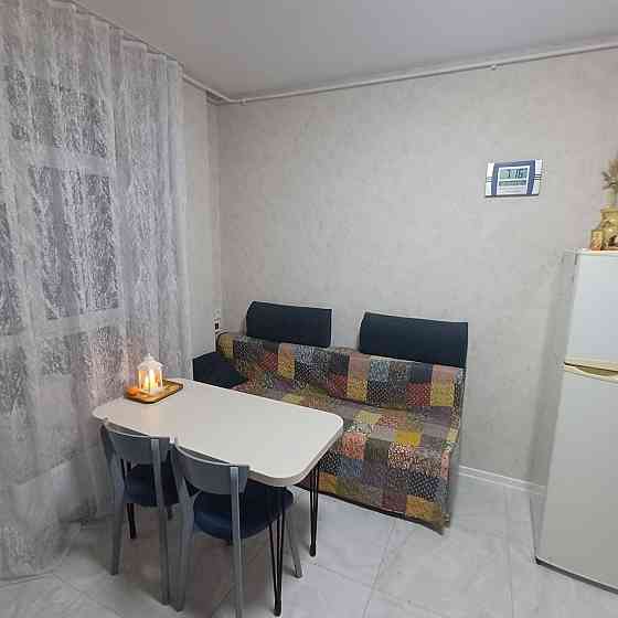 Власник міні однокімнатна Новобудова Газовий котел Центр Вишневого Вишневое