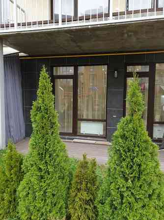 Аренда 1 комн квартиры с зеленой терассой в ЖК Липинка, ул.Замковецкая Киев