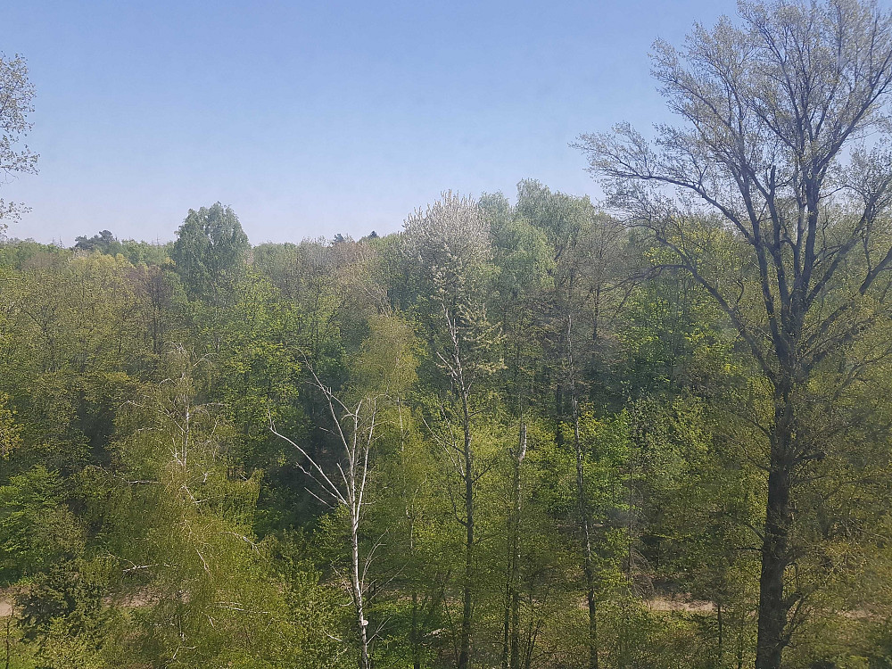 Глушкова Акцент Голосеевский Теремки Заболотного Kyiv - photo 8