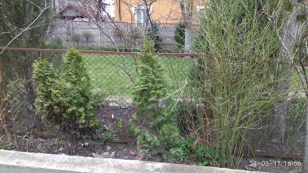 Студія 28 м², 5 хв пішки до метро Осокорки Київ - зображення 8