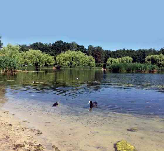 Акція!!!Квартира в Бортничах,по вигідній ціні ,з розтермінуванням. Київ