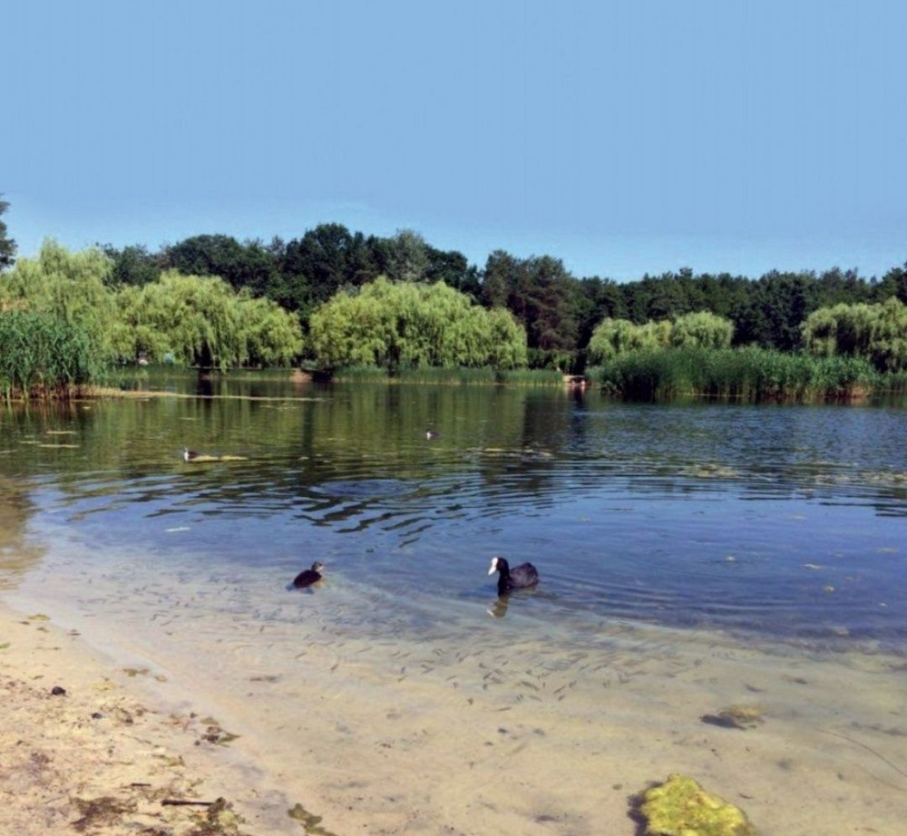 Акція!!!Квартира в Бортничах,по вигідній ціні ,з розтермінуванням. Київ - зображення 6