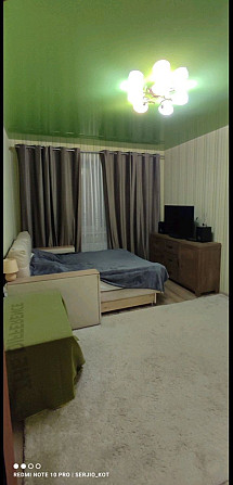 Однокомнатная квартира Шевченково (Одесская обл.) - изображение 8