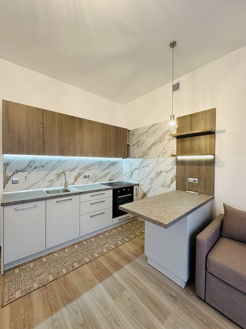 Оренда 1.5к ЖК Паннонія(Центр Міста) Ужгород - изображение 2