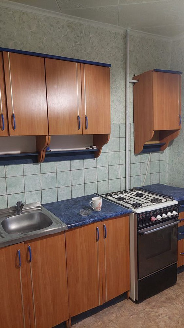 Однушка на РТС долгосрочно Павлоград - зображення 6