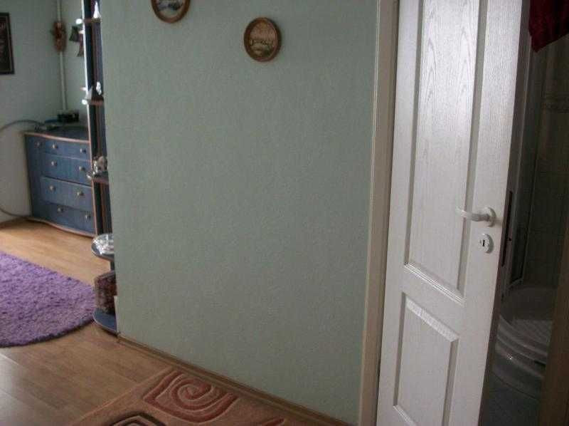 Кривой Рог Пр.Мира, 31-А, 2-квартиры[3+1 на площадке]Обмен на 1-эт.дом Кривий Ріг - зображення 8