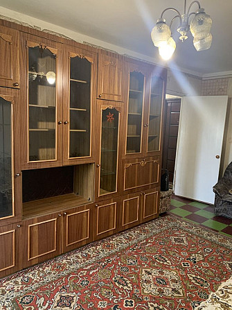 Продам однокомнатную квартиру Кам`янське (Нікопольський р-н) - зображення 3