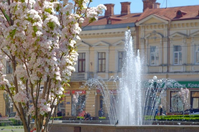 1к квартира на пл.Філармонії. Від власника
с видом на ф Чернівці - зображення 1