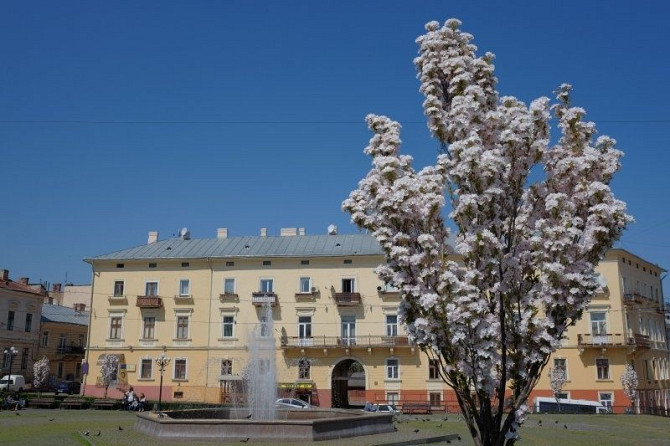 1к квартира на пл.Філармонії. Від власника
с видом на ф Чернівці - зображення 2