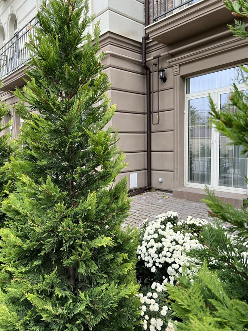 ЖК ЧЕЛСИ.Клубный дом со своими палисадниками Одесса - изображение 1